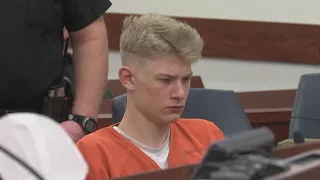 Teen charged in deadly DWI crash sentenced