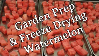Garden Prep and Freeze Drying Watermelon