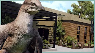 Microraptor & Archaeopteryx Habitat! | Prehistoric Kingdom | Speed Build