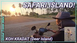 Koh Kradat Island (Deer Island) SAFARI Unseen 🇹🇭 Thailand