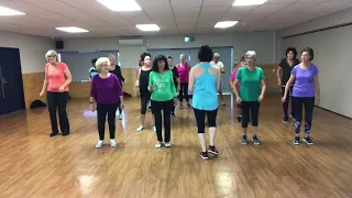 Z Gold Dance Fitness ‘Night Fever’ disco