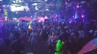 Arcek @ Psy-Fi Festival 2019 Netherlands !!