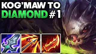 How to play Kog'Maw in Low Elo - Kog'Maw Unranked to Diamond #1 | League of Legends