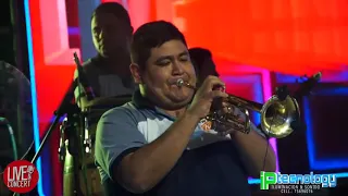 🎧 New Tropical Swing EN VIVO   SHOW COMPLETO   Festival de Orquestas MEGAFEST 2019 LIVE CONCERT 🎧