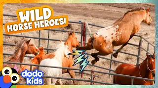 5 Wild Horses And Their Families Share One Incredible Adventure | Dodo Kids | Wild Horse Heroes