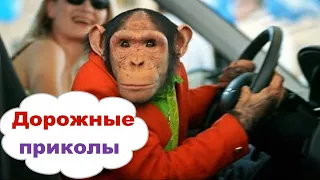 Дорожные приколы! Облака приколов №59