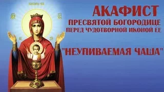 Акафист Пресвятой Богородице пред Ея иконой «Неупиваемая Чаша» / среда/