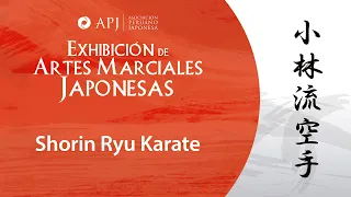 Conociendo las artes marciales japonesas: Karate Shorin Ryu