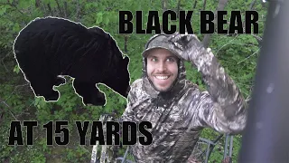 BLACK BEAR at 15 YARDS (Canada Bow Hunting)