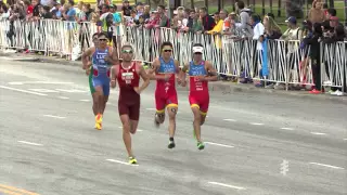 2015 ITU World Triathlon Chicago - Elite Men's Highlights