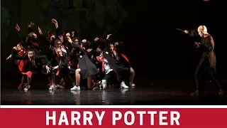 HARRY POTTER CHOREOGRAPHY by AleMayrink