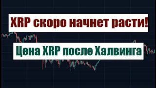 XRP СКОРО НАЧНЕТ РАСТИ! ЦЕНА XRP ПОСЛЕ ЭТОГО ХАЛВИНГА