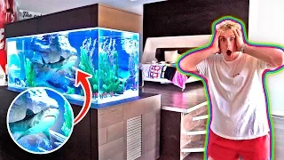 MY NEW BEDROOM SHARK TANK!! **500 GALLONS**