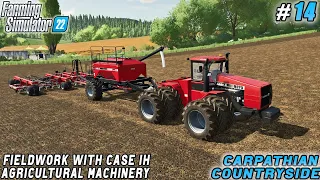 Making Straw Bales, Field Ready, and Seeding Anew | Carpathian Farm | Farming simulator 22 | ep #14