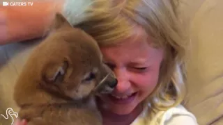 Little Girl Gets A Puppy For Her Birthday And Just Can't EVEN