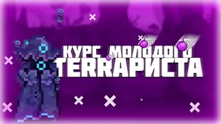 Курс молодого Terraриста Spirit Mod Edition.