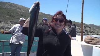 Fishing at Catalina Island for Yellowtail