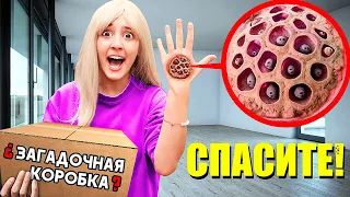 ЗРЯ МАША ОТКРЫЛА секретную коробку СКИБИДИ ТУАЛЕТА 📦❓