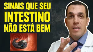 QUATRO SINAIS QUE SEU INTESTINO NÃO ESTÁ BEM E VOCÊ NÃO SABIA [APRENDA AGORA]