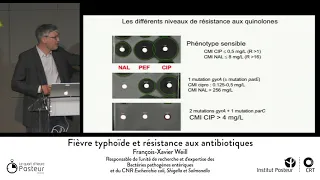 Fièvre typhoïde et résistance aux antibiotiques - François-Xavier Weill