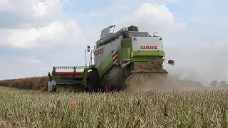 ŻNIWA 2021 Z CLAAS'Ą🔥 RZEPAK 🔥 CLAAS & JOHNDEERE🔥 OPOLSKIE