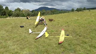 RC Gliders thermalling in Tasmania