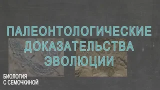 Палеонтологические доказательства эволюции