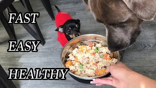 HEALTHY HOMEMADE DOG FOOD RECIPE | WHAT I FEED MY DOGS | FAST & EASY