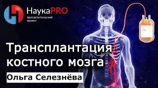 Трансплантация (пересадка) костного мозга: кому, когда и как? – Ольга Селезнёва | Научпоп