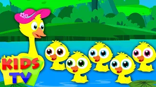 Five Little Ducks | Nursery Rhymes | Kids tv Songs | little duck song | five ducks song by kids tv