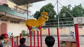 Lion dance dress rehearsal in Cambodia 🇰🇭 20230104 but incompleted