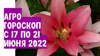 Αγροωροσκόπιο από 17 έως 21 Ιουνίου 2022