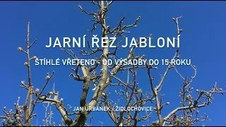 Jarní řez jabloní - od výsadby do 15 roku