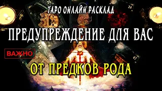 ВАЖНОЕ послание Вам от ПРЕДКОВ РОДА! Таро Онлайн Расклад 💥 Life-taro. Tarot