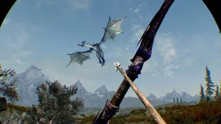 Skyrim VR Dragon killer!