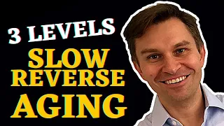 3 Levels to Reverse Aging Dr David Sinclair