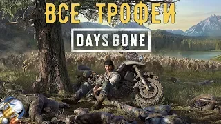 Как получить платину в Days Gone. Все трофеи/призы/достижения