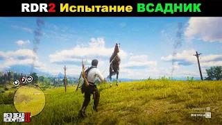 Red Dead Redemption 2 ► МОЁ ПРОХОЖДЕНИЕ НА 100%. Испытание ВСАДНИК