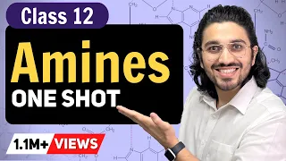 Amines Class 12 in ONE SHOT | Class 12 : Term 2 | Class 12 Chemistry | CBSE | NCERT