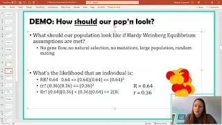 Hardy Weinberg Problem - Steps 1 - 3