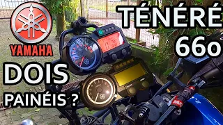 TENERE 660 -  0 KM -  PAINEL DESTRAVOU ?