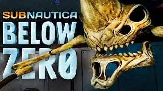 ЗНАКОМЫЙ ЧЕРЕП ► Subnautica: Below Zero #10