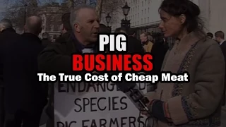Pig Business (2014)