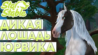 Покупка и Обзор Дикой Лошади Юрвика - Star Stable