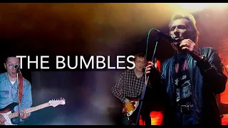 Концерт THE BUMBLES / Jamaica Bar