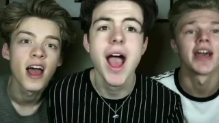 NEW HOPE CLUB MUSICAL.LY COMPILATION!