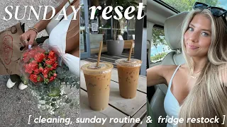 SUNDAY VLOG! (weekly reset, fridge restock, apartment refresh)