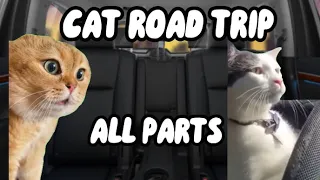 Cat Road Trip Compilation