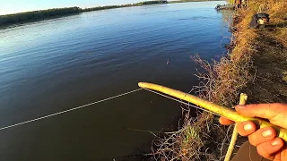 ОГО! НЕ УСПЕЛ ЗАКИНУТЬ РЕЗИНКИ и СРАЗУ НАЛОВИЛИ СУДАКОВ и ЩУК! Отдых, палатки, жарим мясо