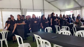 te kohao health center hamilton opening